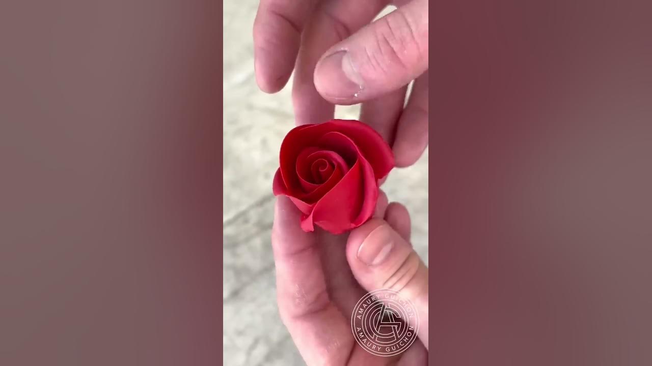 The Eternal Rose! 🌹 Very romantic Raspberry&Chocolate dessert full of fun techniques!