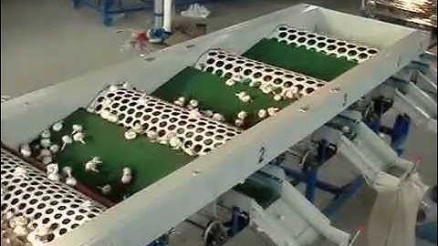 garlic grading machine, garlic sorting machine