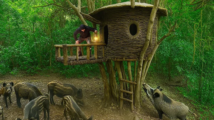 How I Build a Tree Shelter Using Vines to Survive in the Rainforest