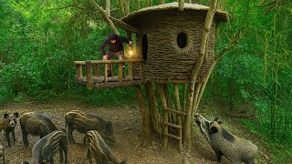 Download Lagu Build a House with Vines to Survive Wild Boars. Bushcraft Treehouse, Catch and Cook MP3 Download Lagu Build a House with Vines to Survive Wild Boars. Bushcraft Treehouse, Catch and Cook MP3