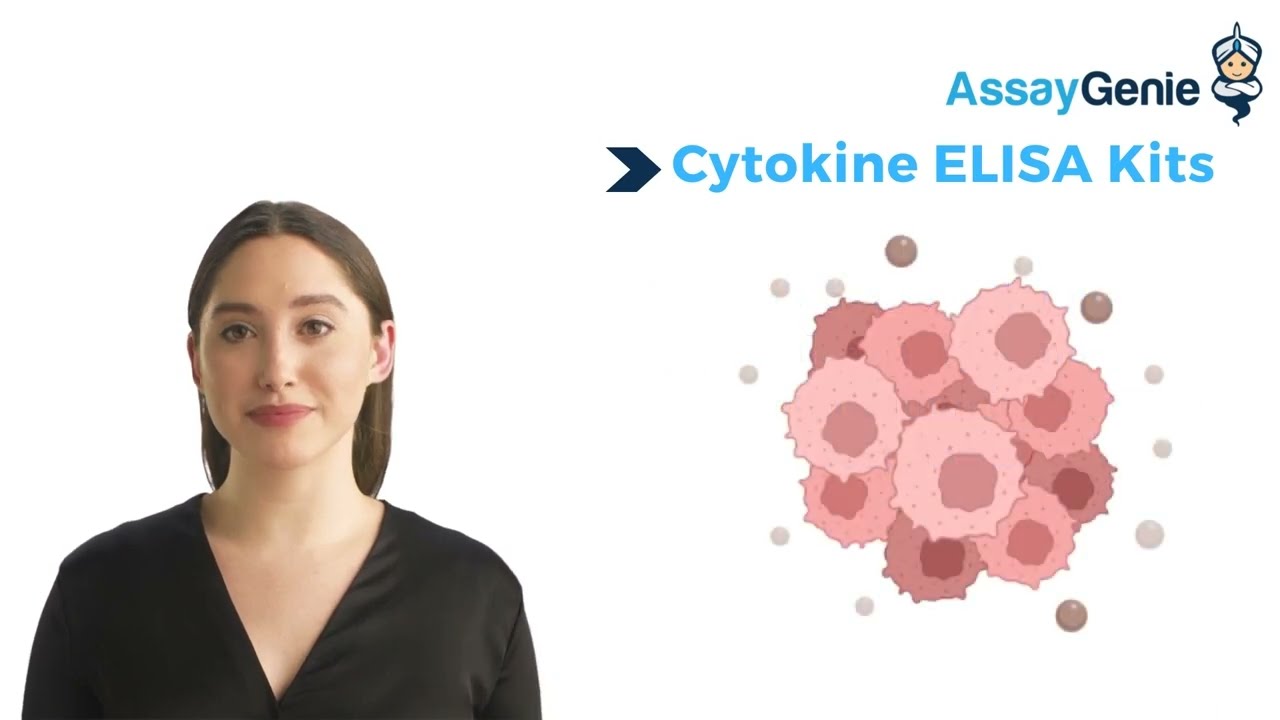 Cytokine ELISA Kits High Sensitivity Assays YouTube