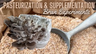 Boost Your Mushroom Yields with Pasteurized Substrate, How Much Wheat Bran Can We Get Away With