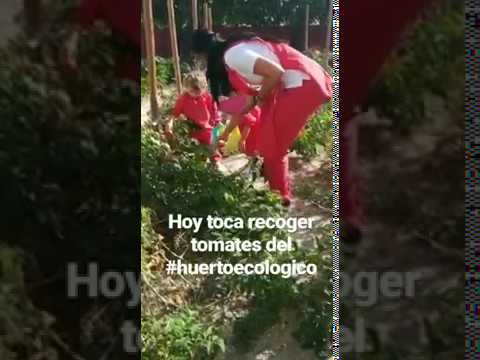 Escuela Infantil con Huerto Ecológico en Pozuelo