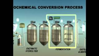 Biochemical Enzymatic Hydrolysis