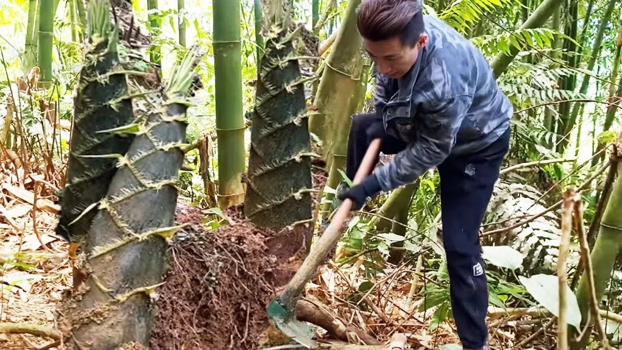 今天和粉丝姐姐在平地上发现一颗很有难度的，经过我们齐心协力，终于完美的挖出来了【乡村阿峰】