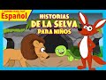 Historias de la selva para niños | Historias Morales | Mejores historias para niños