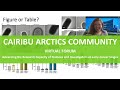 How to write a scientific paper cairibu arctics community forum