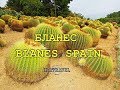 🇪🇸 БЛАНЕС, ИСПАНИЯ | BLANES SPAIN | CITY TOUR