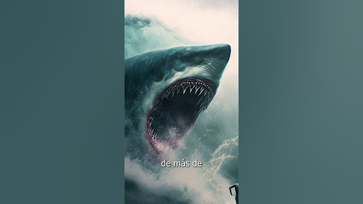 5 MONSTRUOS Marinos MÁS GRANDES del MUNDO - EL Tiburón MEGALODON