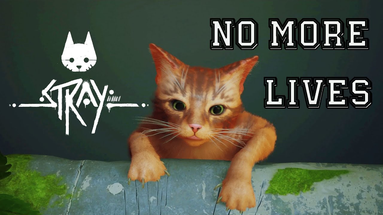 NO MORE LIVES - Die 9 Times | Stray - YouTube