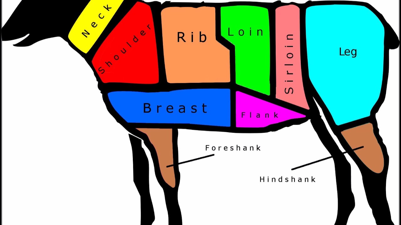 Cuts Of Lamb Chart