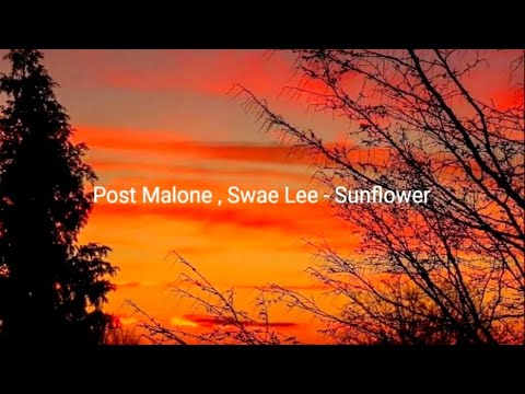 Post Malone - Sunflower (Lyrics) ft. Swae Lee - YouTube
