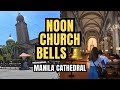 The Noon Bells Led Me to Manila Cathedral (Then the Music Hit Me) | Intramuros Church Visit