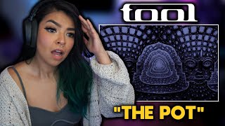 First Time Reaction | TOOL - "The Pot"