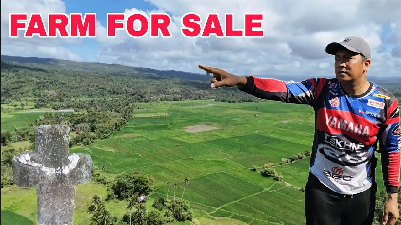 Farm for sale Sobrang mura Sobrang layo pala hindi nagustuhan followers 3 oras lakad kahit ako ayaw 
