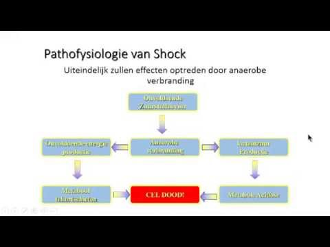 Video: Definities En Pathofysiologie Van Vasoplegische Shock
