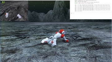 Nao learning to crawl