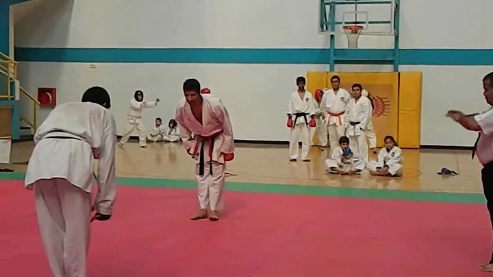 Julio Silva vs Ricardo Gutierrez