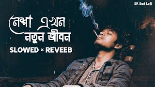 নেশা এখন নতুন জীবন | Nesha Akhon Notun Jibon (Slowed+Reverb) SR Sad Lofi Thumb