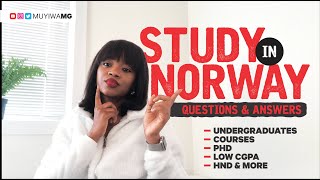 Study in Norway for free Q & A | What you need to know| PhD & BSc | Work as an international student