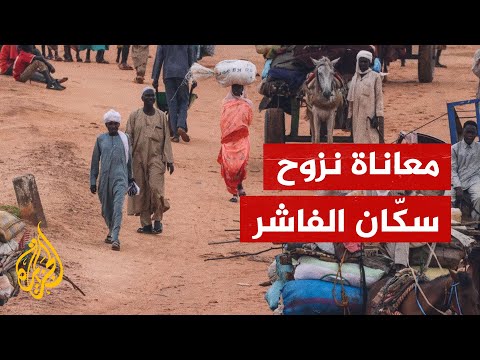 طالبة نظم ومعلومات سودانية تروي مأساة نزوحها من الفاشر وتحول حياتها بسبب الحرب