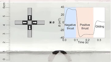 Magnetic responsive soft robots-SIM LAB from OSU