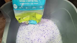 #walmart Best Cat Litter I've tried Silica  subscribe, please 🙏