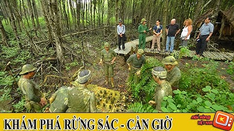 KHÁM PHÁ DU LỊCH RỪNG SÁC CẦN GIỜ || NƠI VANG DANH ĐẶC CÔNG RỪNG SÁC - P1 | 007 VLOG