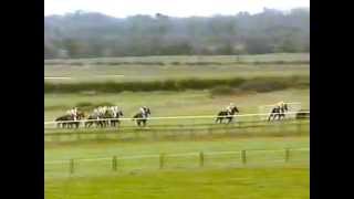 1996 - Fairyhouse - Hatton's Grace Hurdle - Large Action