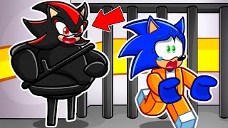 Escape SHADOW'S PRISON RUN In Roblox!