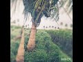 Refreshing climate and enjoying the life....Make it count and live it in your own way.....