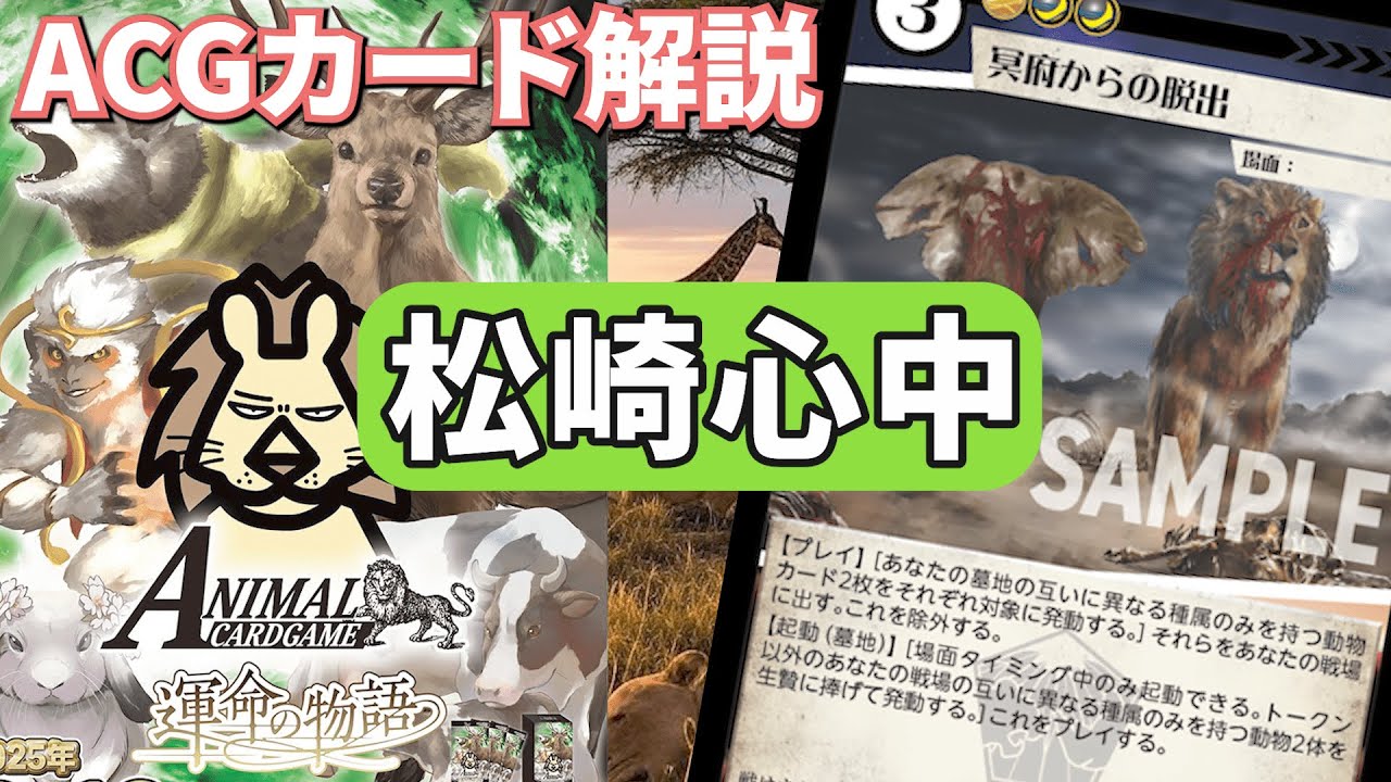 アニマルカードゲーム】運命の物語 松崎心中解説【カード解説】 - YouTube