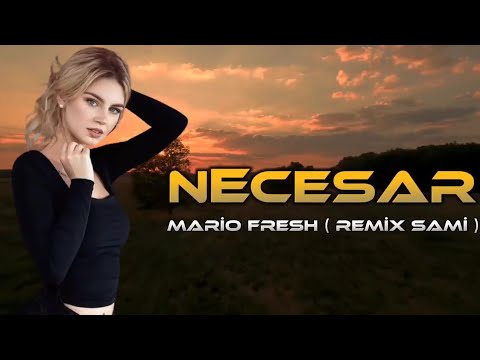 Mario Fresh Renvtø Necesar & (Sekretet e Mia Remix) Elsen Sami