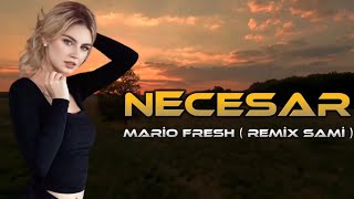 Mario Fresh Renvtø Necesar & (Sekretet E Mia Remix) Elsen Sami