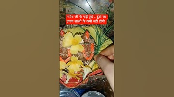 गणेश जी के चढ़ी हुई 1 दुर्वा का उपाय लक्ष्मी के कमी नहीं होगी 💯 #upay #pradeepmishra #shortsfeed