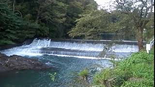 成木川2018/10/3(1)