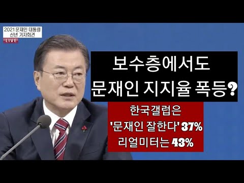 &amp;#39;<strong>신년기자회견</strong> 잘해서 문재인 지지율 폭등&amp;#39;