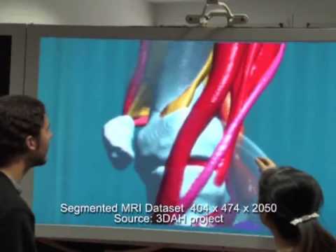 Interactive Inspection of Volumetric Datasets on a Light-Field Display