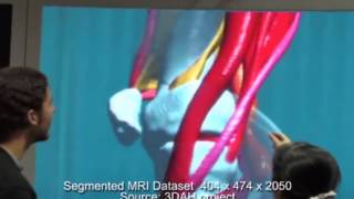 Interactive Inspection of Volumetric Datasets on a Light-Field Display
