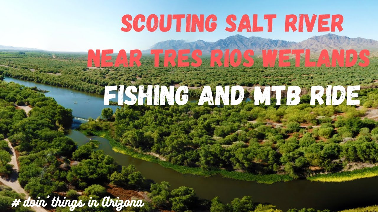 Tres Rios Rivers Scouting the Salt River branch near Tres Rios Wetlands - YouTube