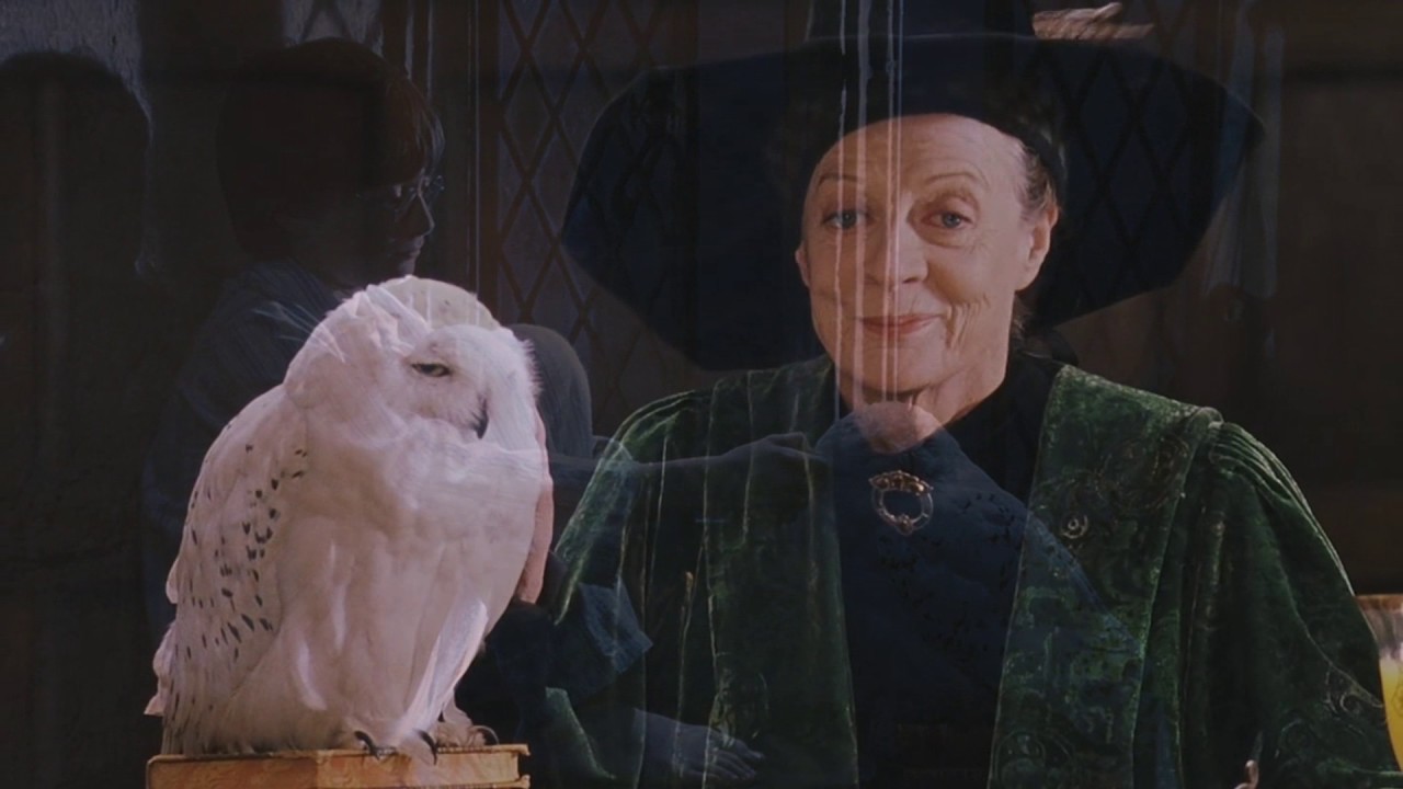 Harry Potter and Hedwig