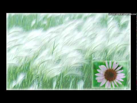 ♪ 吳雨霏01～勁草嬌花～2006 ♪