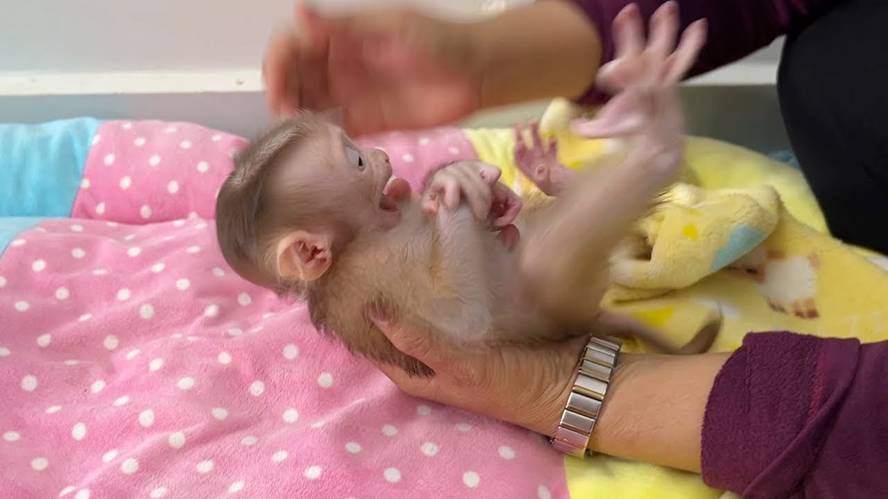 Mom Raise Lil Jelly Up To Change Outfit After Clean Up