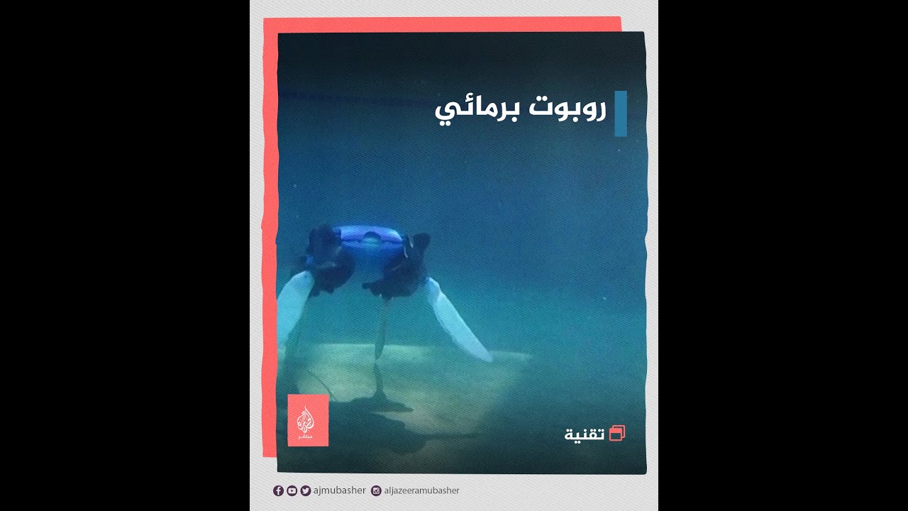 باحثون أمريكيون يبتكرون روبوتًا برمائيًّا لمراقبة البيئة المائية