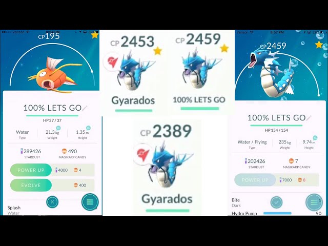 100 Perfect Iv Individual Value 195 Cp Magikarp Evolved To Gyarados Pokemon Go Youtube