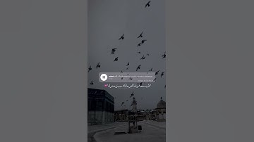 قران كريم عند المسجد الأقصى ايات ترد الروح❤️💫