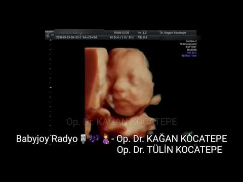 GEBELİKTE KAN VE İDRAR TETKİKLERİ NASIL YORUMLANIR?NORMAL VE ANORMAL DEĞERLER-BABYJOY RADYO-2. BÖLÜM