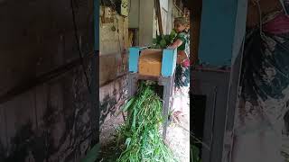grass cutting machine