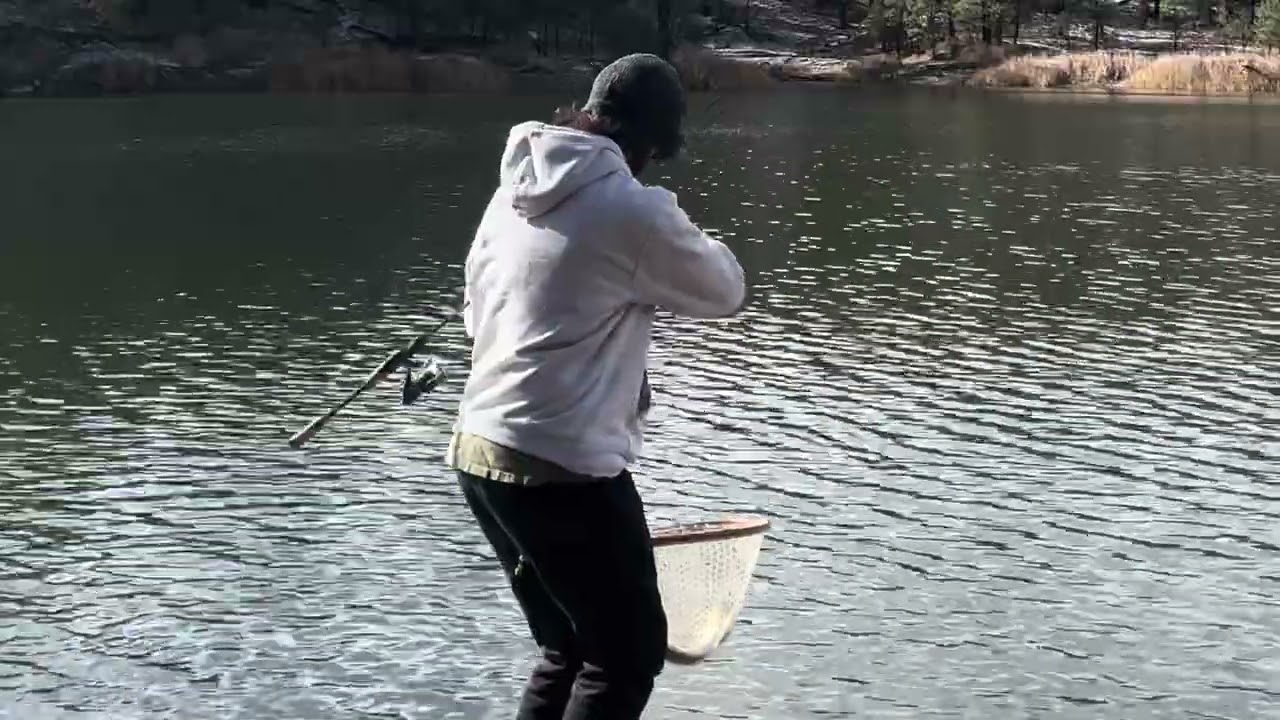 Arizona Trout Fishing!! Gila Trout and Rainbow Trout on the spoon windy day 