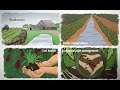 What is sustainable agriculture episode 1 a wholefarm approach to sustainability